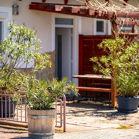 Guest house Pelso Zamardi